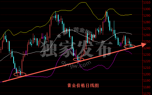 黄金价格日线图