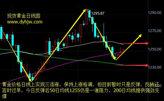 黄金价格走势图