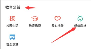 支付宝蚂蚁森林是什么 支付宝蚂蚁森林有什么用