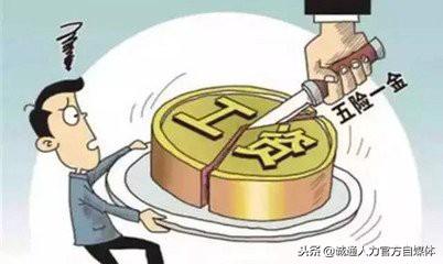 社保好消息！不仅费率要降，还能返还，又要省钱了！