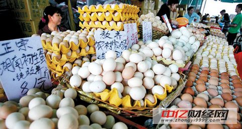 淮北市洋鸡蛋价格强势反弹每公斤平均价格7.90元