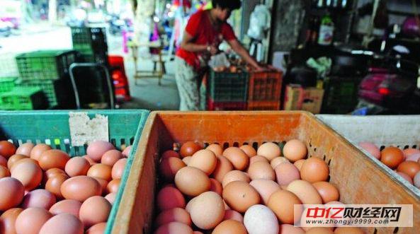 鸡蛋价格回升 平均价格在4元/500克