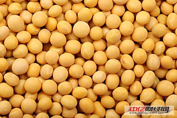 新作大豆播种结束 大豆价格或下跌