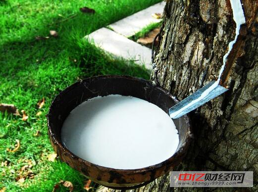 我国车用特种橡胶行业透视：性能缺陷有待改善