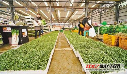 兴蜀大宗立足蜀地绿色产业 打造四川农产品交易市场