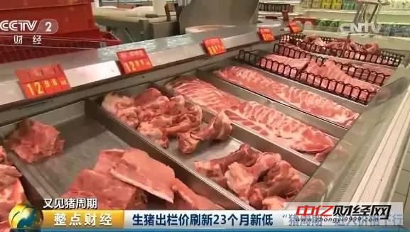 猪肉价格大跌25% 由盈转亏成定局